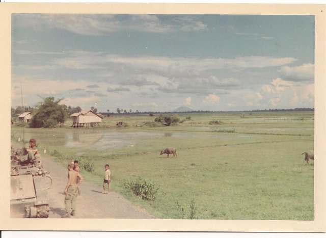 Rice pady